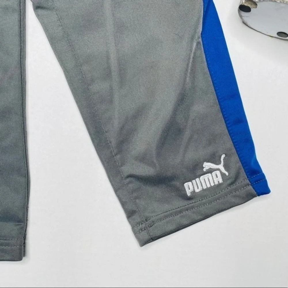 Puma track light